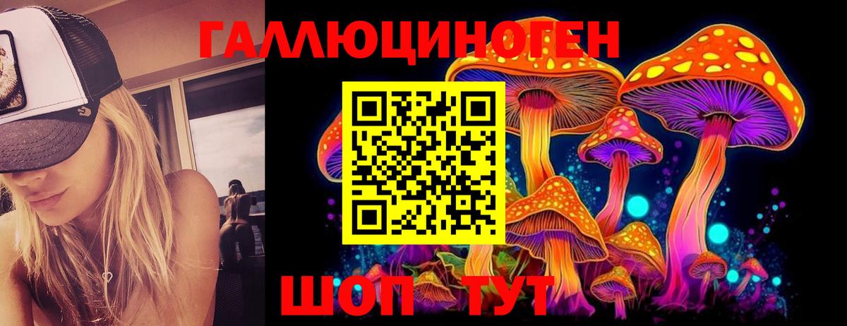 Псилоцибиновые грибы Psilocybe Шарыпово